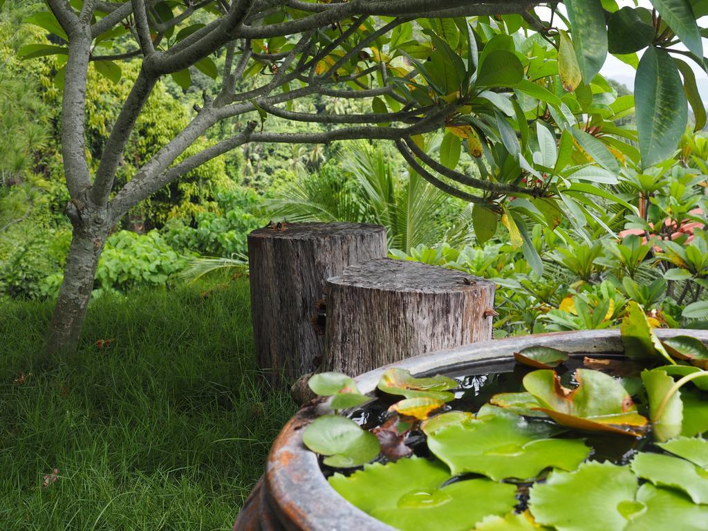 Bao Sheng Durian Farm Βίλα Balik Pulau Εξωτερικό φωτογραφία